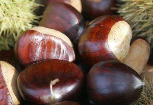 vertus des marrons
