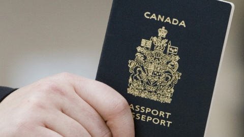 Immigration à Canada: Evaluation préliminaire en ligne