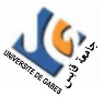 Site université de Gabès en Tunisie sur univgb.rnu.tn