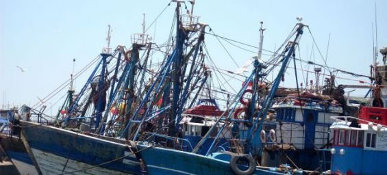 Impatience de Bruxelles face aux retards des accords de pêche entre le Maroc et l’UE