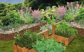 Comment réaliser un jardin médicinal ?