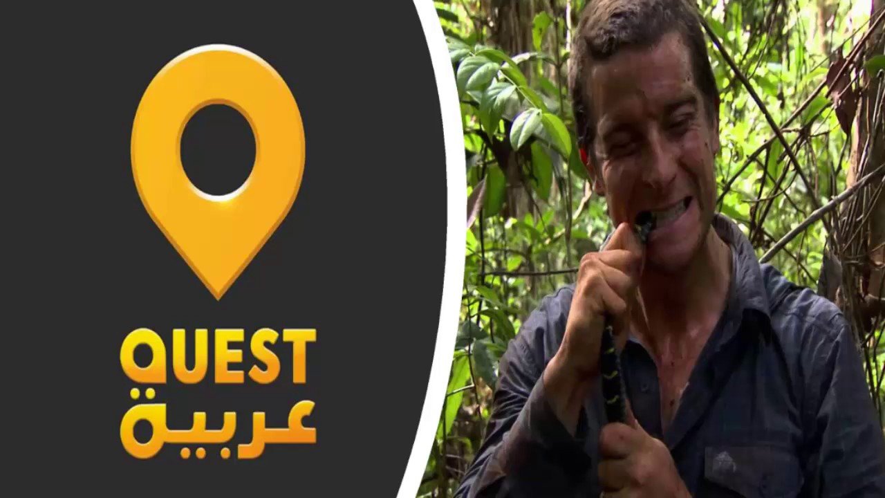 Fréquence Quest Arabiya HD sur Nilesat et Badr