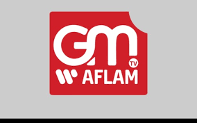 Fréquence GM Aflam TV sur Al Yah1 – تردد قناة – Frequency
