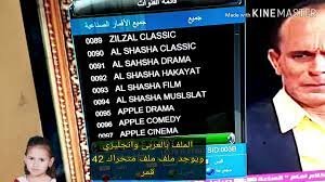 Fréquence Shasha Muslslat Channel Sur Nilesat