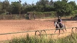 Poney club de Rabat 2022: Prix et activités disponibles